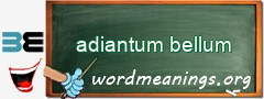 WordMeaning blackboard for adiantum bellum